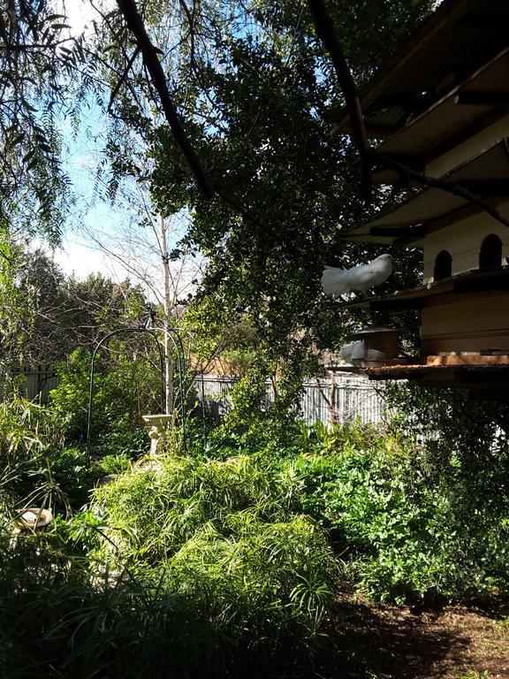The Dove Cote Bed & Breakfast Tanunda Ngoại thất bức ảnh