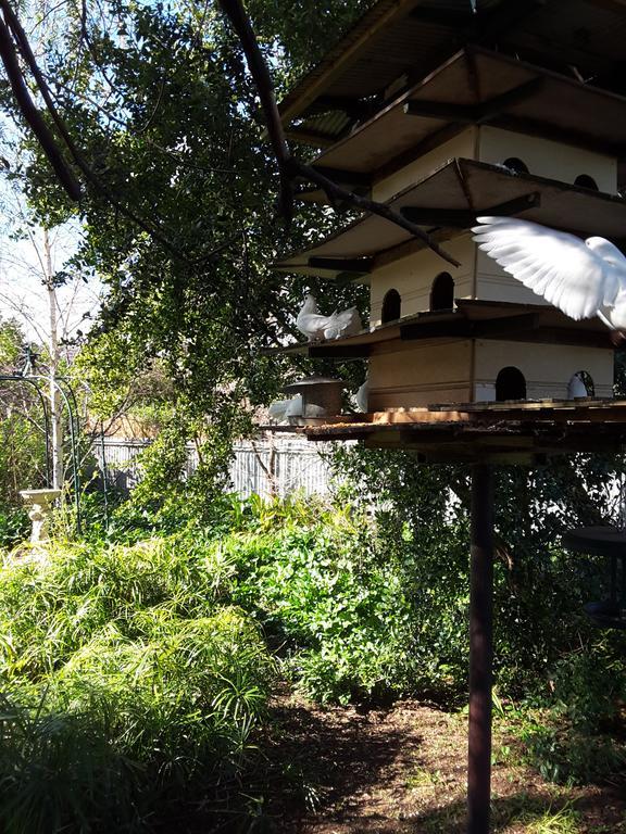 The Dove Cote Bed & Breakfast Tanunda Ngoại thất bức ảnh