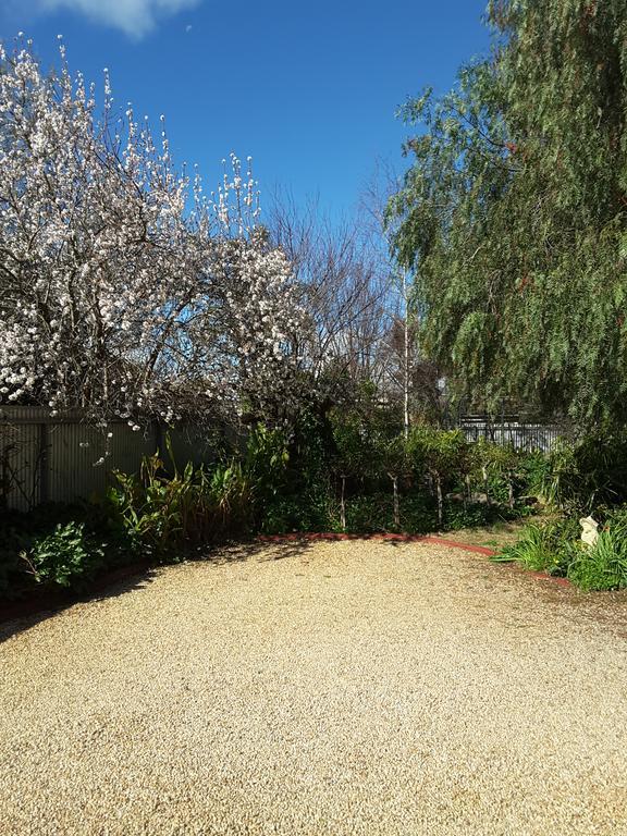 The Dove Cote Bed & Breakfast Tanunda Ngoại thất bức ảnh