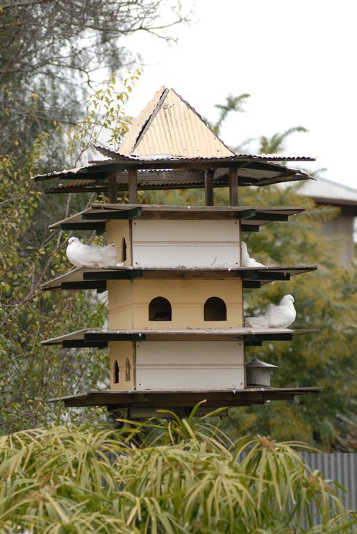 The Dove Cote Bed & Breakfast Tanunda Ngoại thất bức ảnh